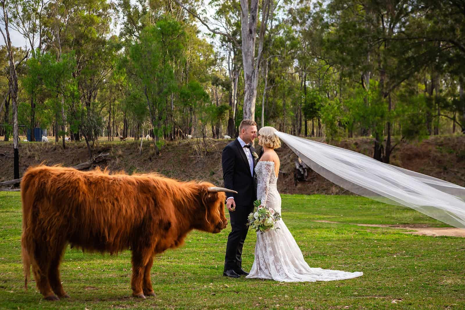 Farm Wedding